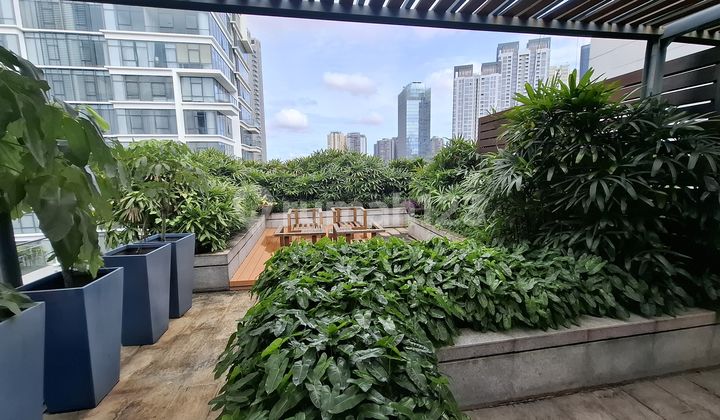 Apartemen Verde 3 Kamar Dengan Private Taman Di Kuningan Jakarta Selatan 2