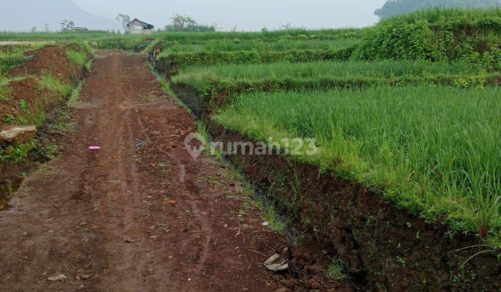 Tanah siap bangun di Ciwidey 1