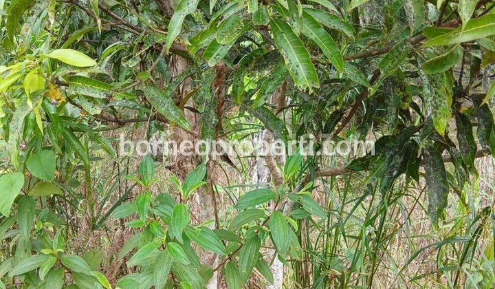 Tanah Datar di Pinggir Jalan Besar Dekat dengan Ibu Kota Negara