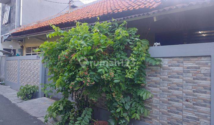 Rumah Strategis di Salemba Bluntas, Paseban, Jakarta Pusat 2