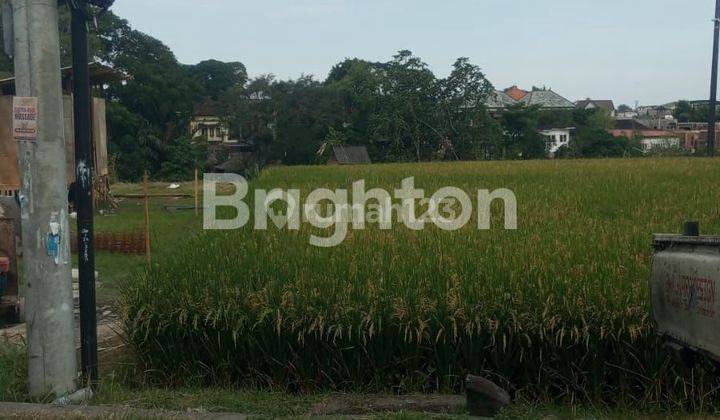 Tanah 15 Are Canggu leasehold 2