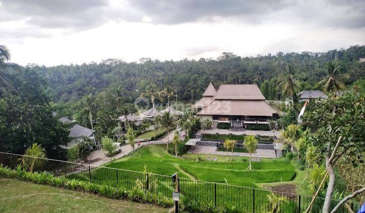 BUC Murah Hotel Ubud 5 Star C1ELOQ 2