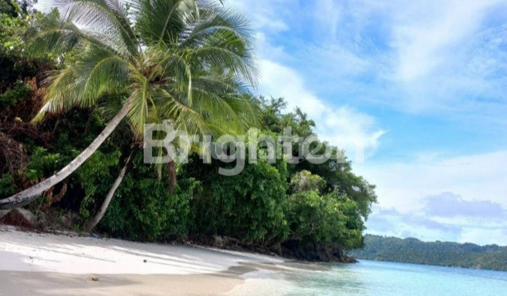 BUC Beach Land 42970m2 Near Lake Paisupok (Tax-Free, PMA, KITAS, Notary)