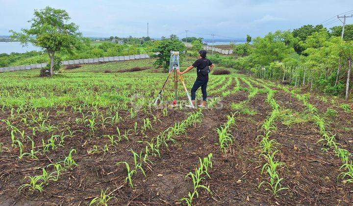  Tanah Premium Lombok View loss teluk Telone, nego sampai DEAL 1