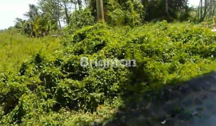 DIJUAL TANAH UNTUK RUMAH SAKIT - KOTA PASURUAN 2