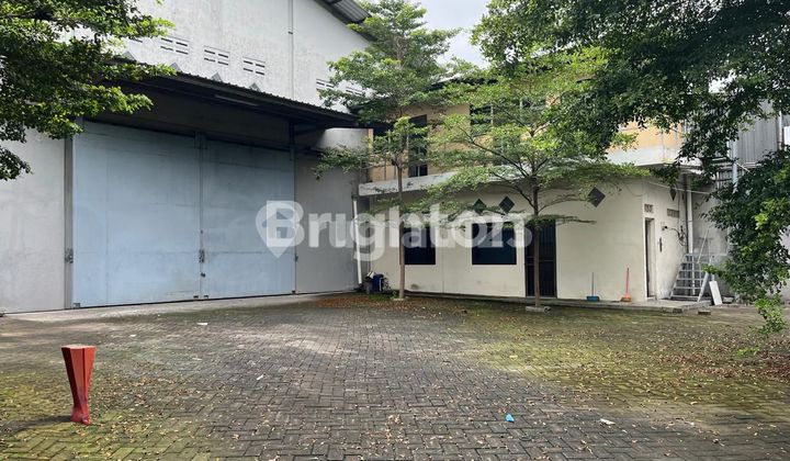 For Rent: Tenaru Driyorejo Warehouse in Good Condition For Rent: Tenaru Driyorejo Warehouse in Good Condition
