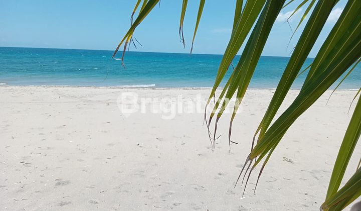 Cottage Resort Sumba Beserta Pantai Kondora beach Cottage Resort Sumba Beserta Pantai Kondora beach