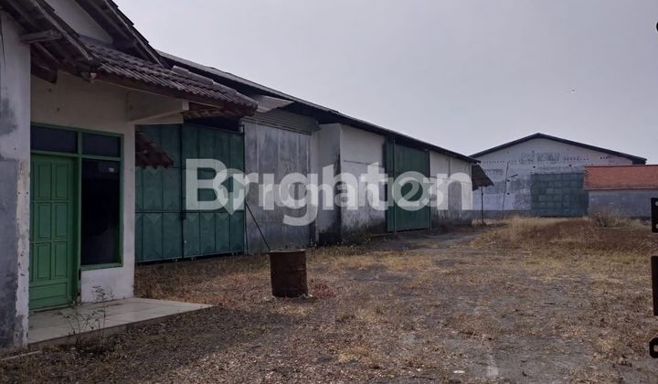 Di  Gudang Di Daerah Segunung, Mojokerto