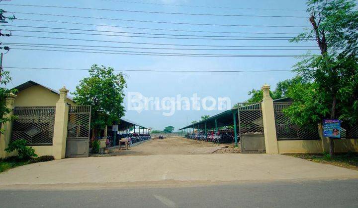 DISEWAKAN GUDANG + LAHAN PAVING 1