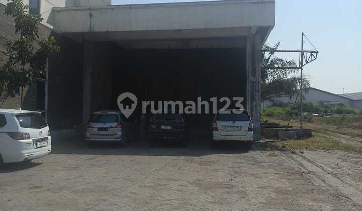 Disewakan Gudang Baru Siap Pakai Yos Sudarso, Semarang Disewakan Gudang Baru Siap Pakai Yos Sudarso, Semarang