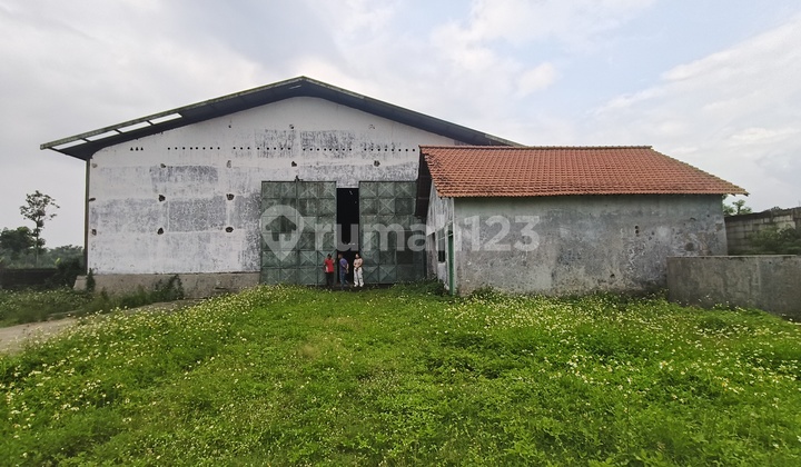 Cheap!!! Warehouse for Sale in Dlanggu, Mojokerto Cheap!!! Warehouse for Sale in Dlanggu, Mojokerto