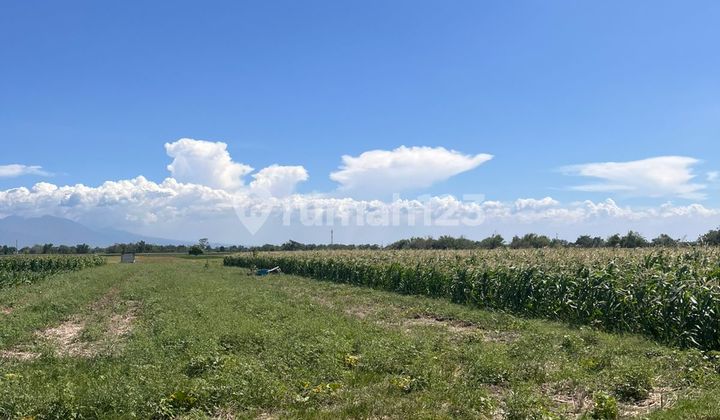 Dijual Lahan Industri Jetis, Mojokerto Dijual Lahan Industri Jetis, Mojokerto