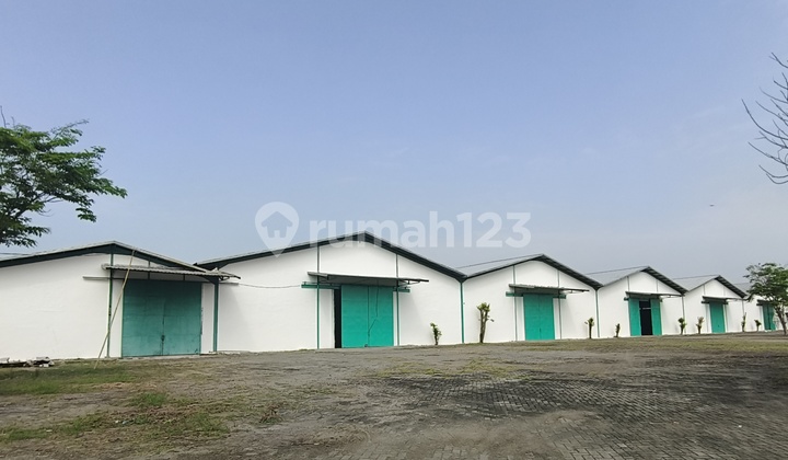 Warehouse for Rent Nganjuk Warehouse + Paved Land