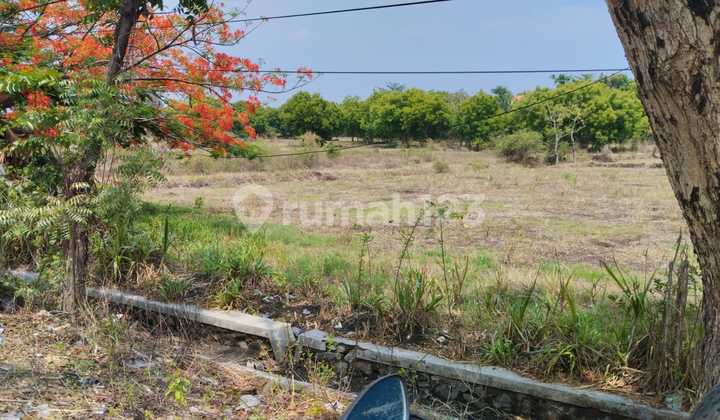 Dijual Tanah Grati Pasuruan