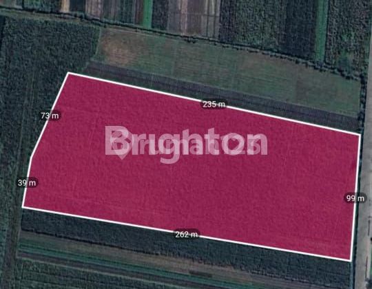 Dijual Tanah Industri Mojokerto 1