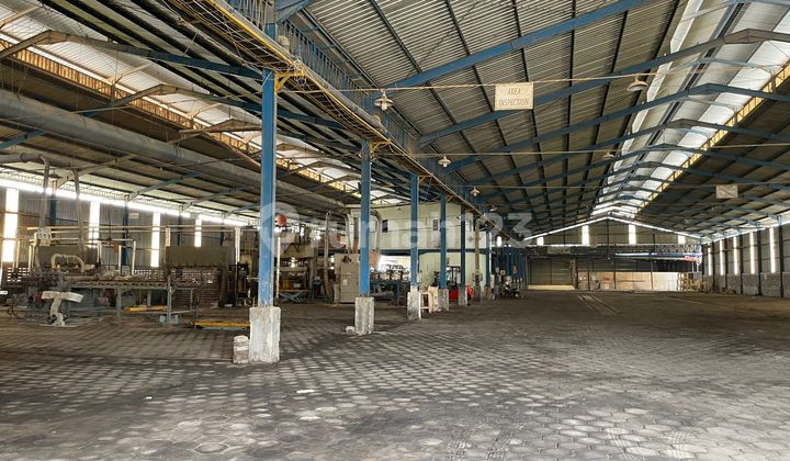 Warehouse for Rent in Kendal, Ready to Use