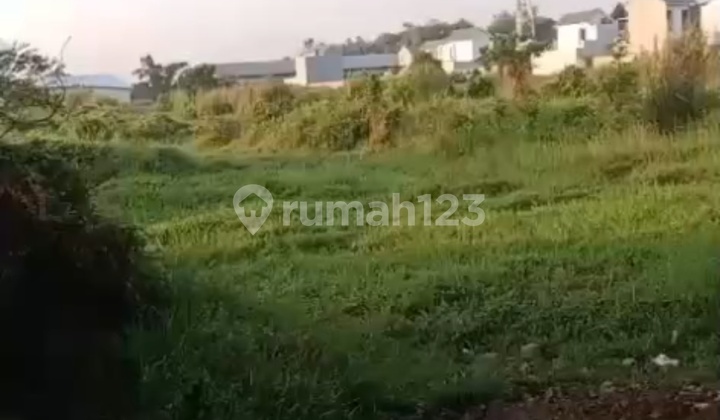 Dijual Tanah Nol Jalan Tanggul Pandaan Dijual Tanah Nol Jalan Tanggul Pandaan