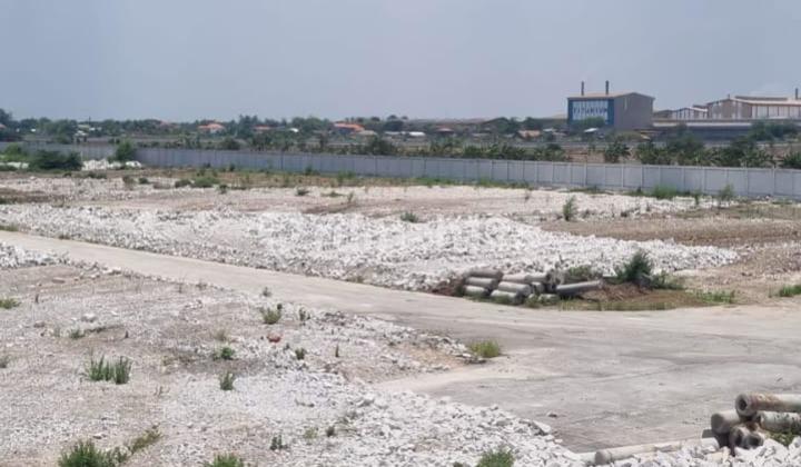 Strategic Land for Sale in Wringinanom Strategic Land for Sale in Wringinanom