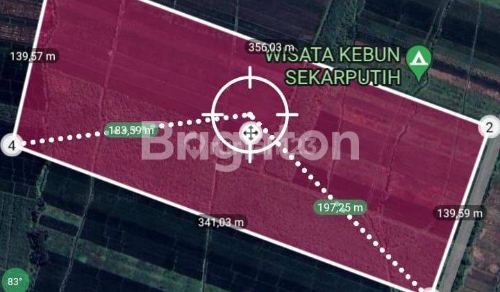 Dijual Tanah Industri: 1