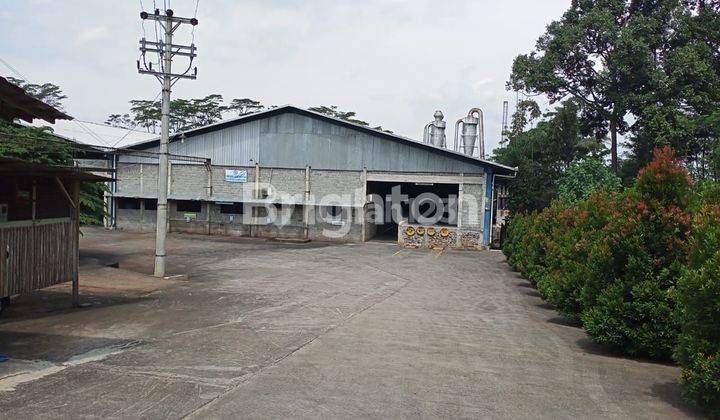 Dijual Gudang Ex Pabrik Plywood di Batang, Jawa Tengah Jalan Pantura Jakarta Surabaya 1