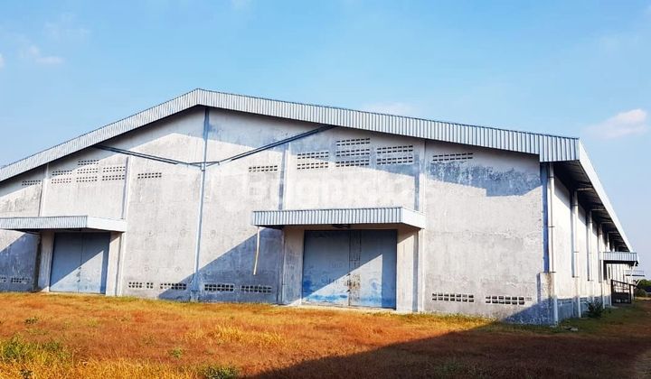 Disewakan Gudang Tegal