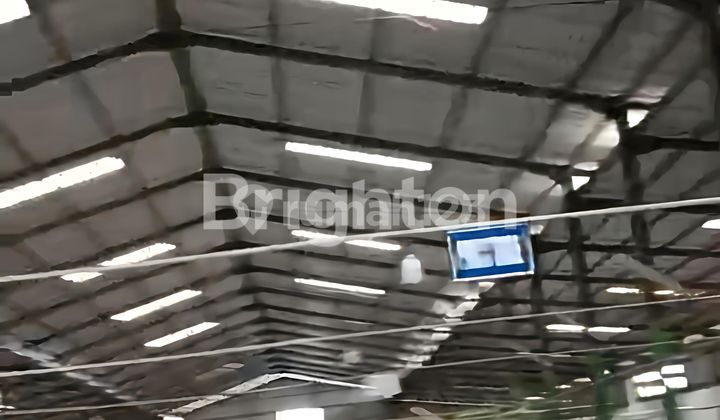 Disewakan Gudang Tegal