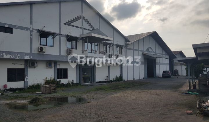 For Sale/Lease Warehouse - Raya Kandangan, Cerme, Gresik For Sale/Lease Warehouse - Raya Kandangan, Cerme, Gresik
