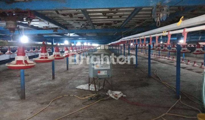Dijual Kandang Ayam di Dawar, Mojokerto 1