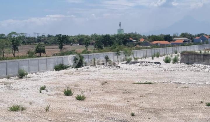 Strategic Land for Sale in Wringinanom Strategic Land for Sale in Wringinanom