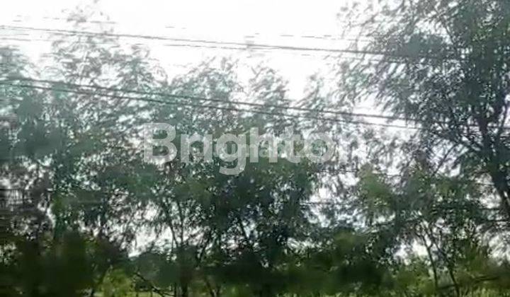 Dijual Lahan Industri Ploso, Jombang 1