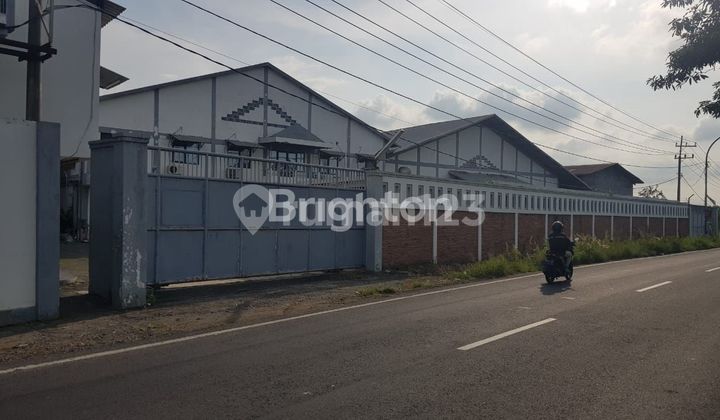 For Sale/Lease Warehouse - Raya Kandangan, Cerme, Gresik For Sale/Lease Warehouse - Raya Kandangan, Cerme, Gresik