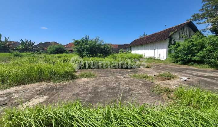 For Sale Fastland / Vacant Land Muncar, Banyuwangi
