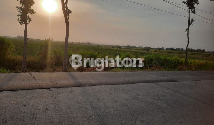 Dijual Tanah Industri Mojokerto 2