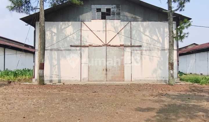Warehouse for Rent in Pagas, Singosari, Malang Warehouse for Rent in Pagas, Singosari, Malang