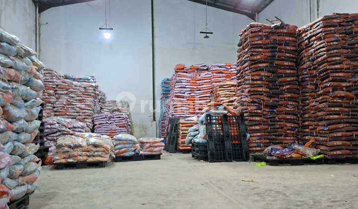 For Sale Ready-to-Live Warehouse in Taman Tekno BSD