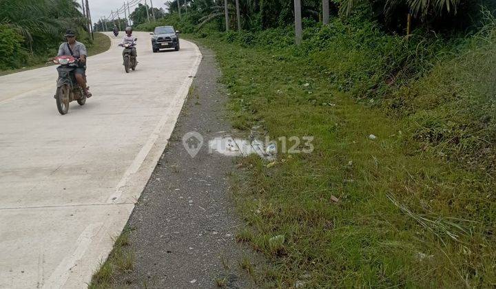 Jual tanah di Riko jalan provinsi dekat  Titik Nol IKN 1