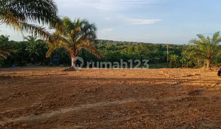 Promo Kavling Kost di Penajam Dekat Kampus Gunadarma