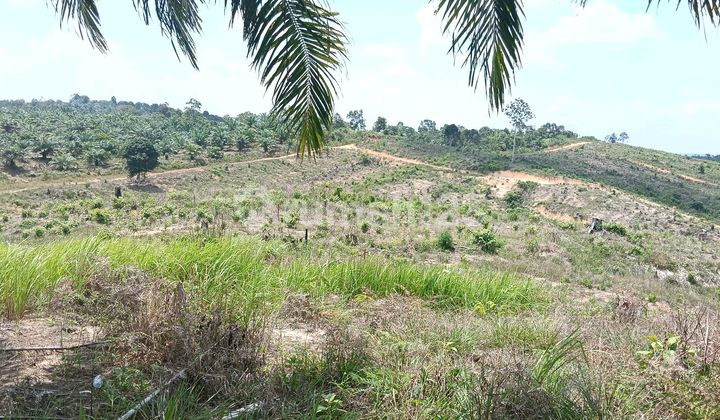 Promo Plot in IKN Semoi 3 Near Sepaku Dam