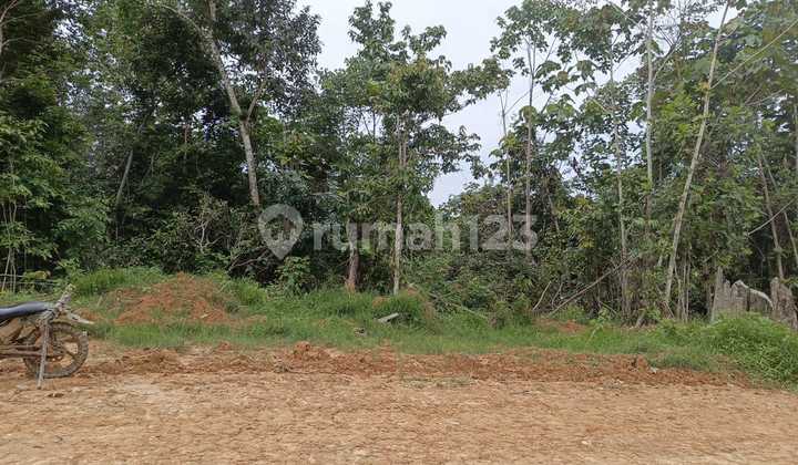 Jual Lahan Murah Lokasi Bukit Subur Dekat Ikn
