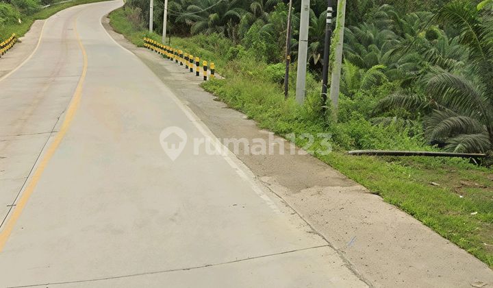 Di Jual Tanah di Ikn Dekat Simpang Riko dan Itci Di Jual Tanah di Ikn Dekat Simpang Riko dan Itci