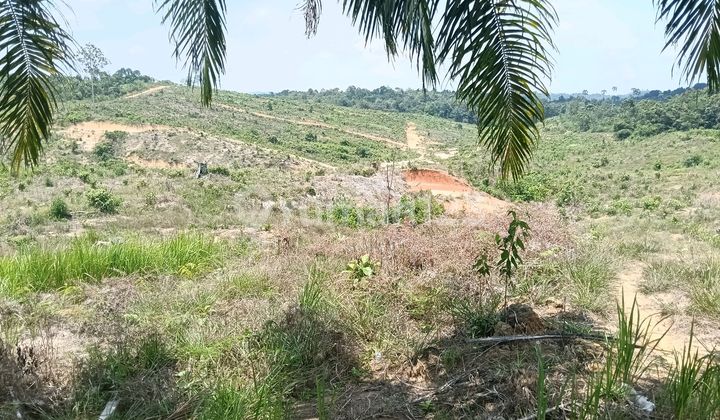 Promo Plot in IKN Semoi 3 Near Sepaku Dam