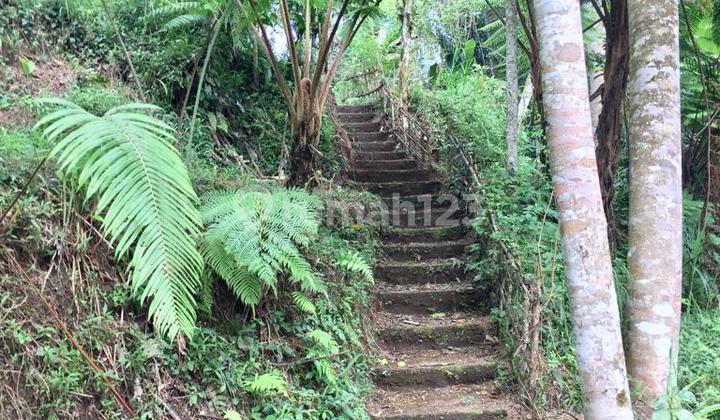 Di Jual Tanag Di Bali Investasi Untuk Vila Di Jual Tanag Di Bali Investasi Untuk Vila