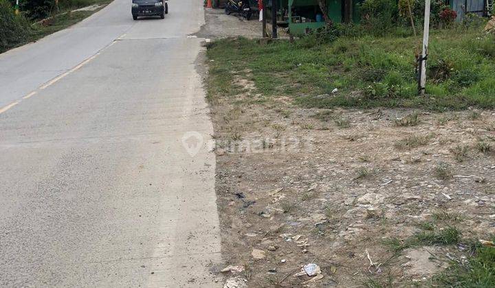 Di Jual Tanah Poros Jalan IKN  dekat Rumah Makan Ko Acang 1