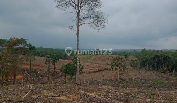 Dijual Tanah Kavling Di Girimukti Penajam Dekat Ikn 1