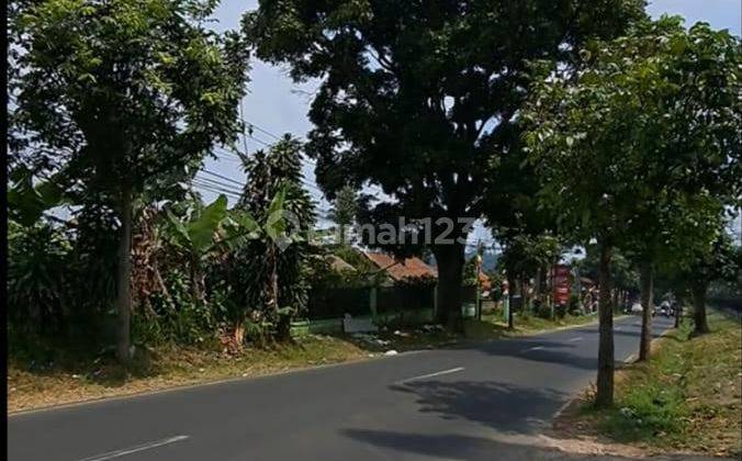 Dijual Tanah Perkebunan Luas Cocok Untuk Wisata di Cisarua 2