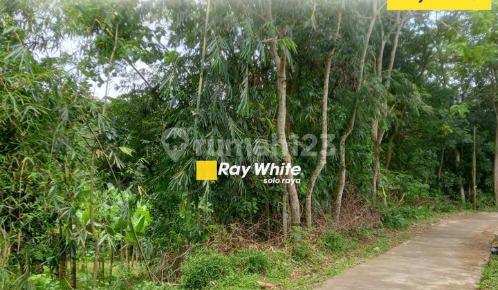 Di Jual Tanah di Gedong, Karanganyar