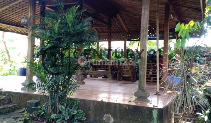 Dijual Tanah Kebun Buah di Sukamaju Cimanggis Depok 2