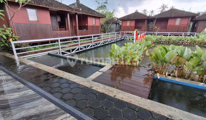 Luxury Villa with Beautiful View in Kaliurang, Yogyakarta Luxury Villa with Beautiful View in Kaliurang, Yogyakarta