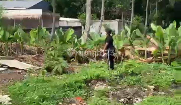 Tanah Kavling Murah Dekat Sma Taruna Nusantara 1