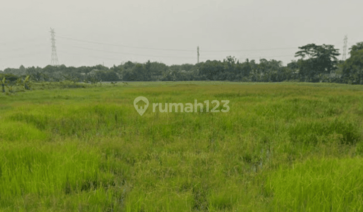 Dijual Cepat Tanah Strategis Pinggir Jalan & Dekat Tol, Investasi Bagus Untuk Bangun Perumahan 1